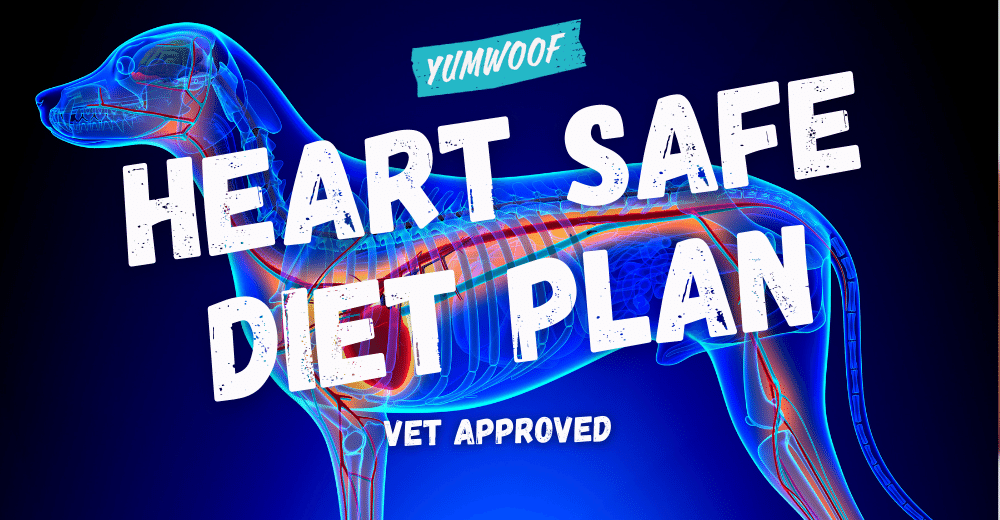 Dog Congestive Heart Failure Dietary Plan Approved by Vets Yumwoof Natural Pet Food