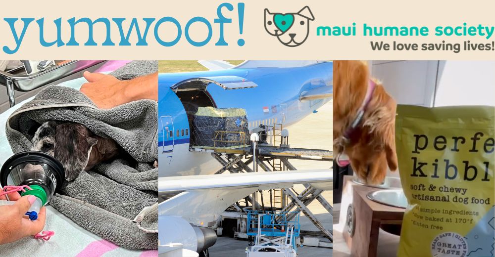 Yumwoof Donates 30K of Air Dried Dog Food to Maui Yumwoof