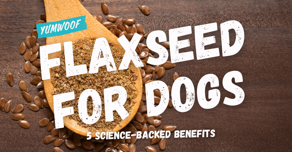 Is flaxseed safe for dogs hot sale