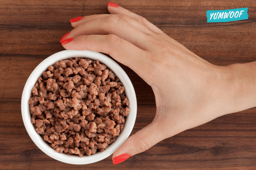 How Much Homemade Dog Food to Feed Your Dog Yumwoof Natural Pet