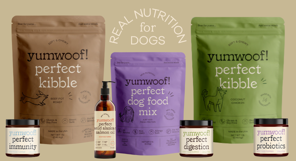 Is sunflower oil bad for dogs hot sale