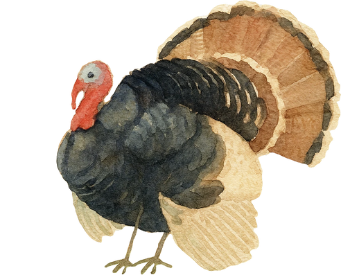 Turkey