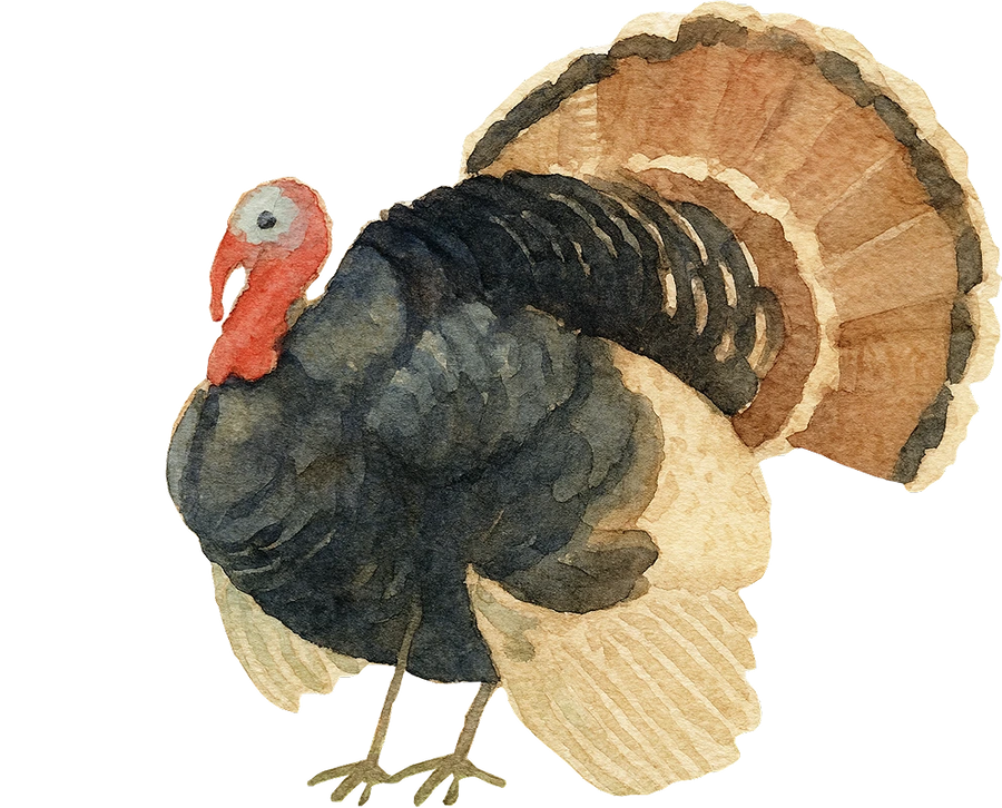 Turkey