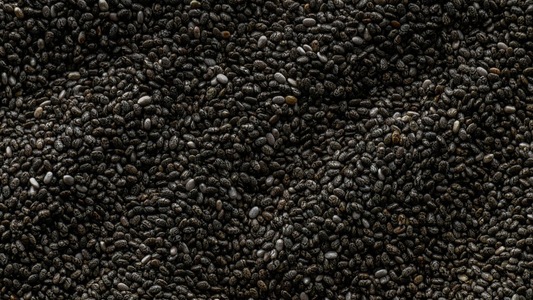 Close-Up Shot of Chia Seeds