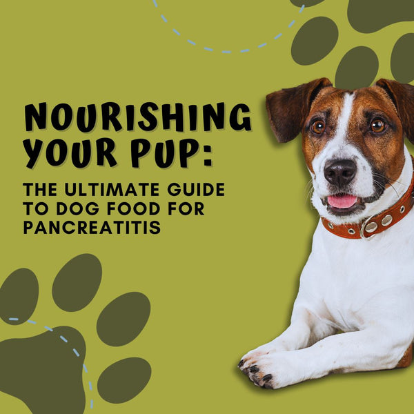 The Ultimate Guide to Dog Food for Pancreatitis