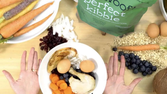 The Best Dog Food for Allergies Hypoallergenic Picks That Work