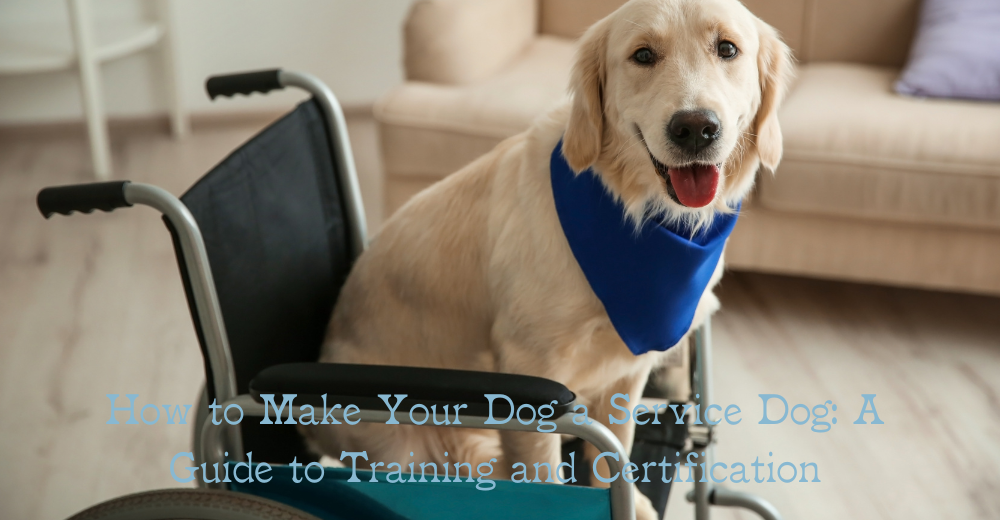 How to Make Your Dog a Service Dog: A Guide to Training and Certification