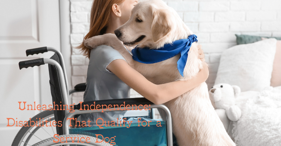 Unleashing Independence: Disabilities That Qualify for a Service Dog