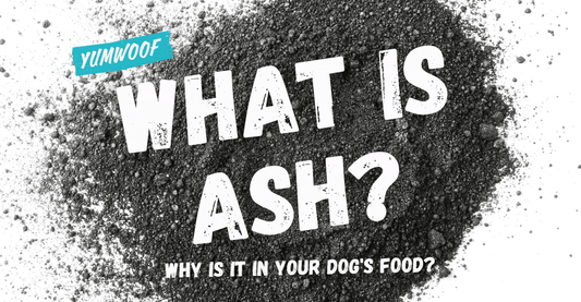 Why Is Ash in Dog Food? What Minerals Are In It?