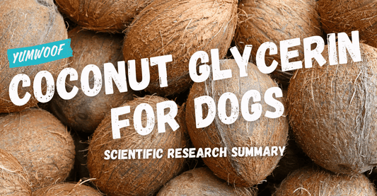 The Benefits of Coconut Glycerin for Dogs – Scientific Research Summary