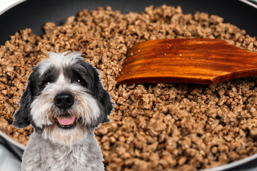 Veterinarian approved homemade outlet dog food