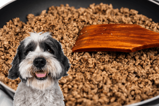 5 Best Vet-Approved Homemade Dog Food Recipes