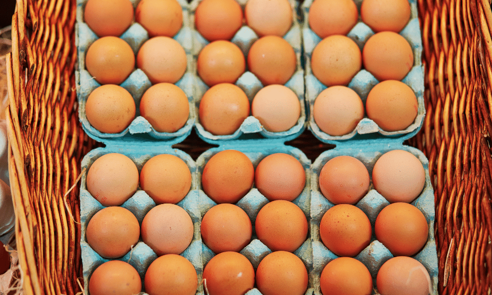 Are Cooked Eggs Good for Dogs? The Science-Backed Benefits