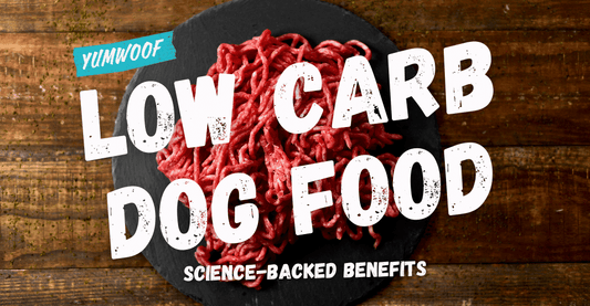 Low Carb Dog Food: What are Its Scientific Health Benefits?