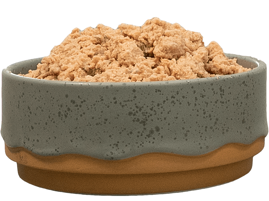 9 Reasons Nutritionists Recommend Perfect Dog Food Mix for Homemade Recipes