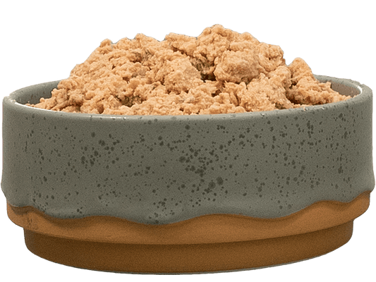 9 Reasons Nutritionists Recommend Perfect Dog Food Mix for Homemade Recipes