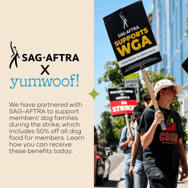 Yumwoof Stands with SAG-AFTRA To Offer Financial Support for Our Creative Allies