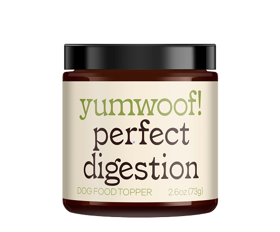 Perfect Digestion