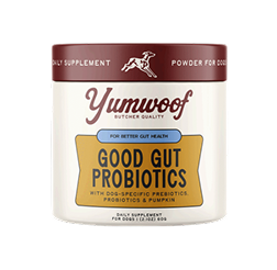 Perfect Probiotics