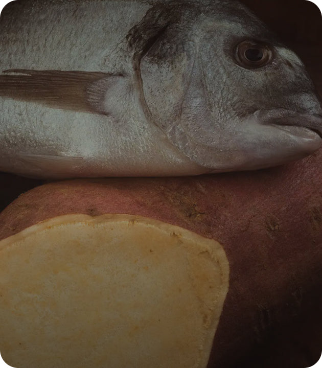 Trusted Farms & Fishermen