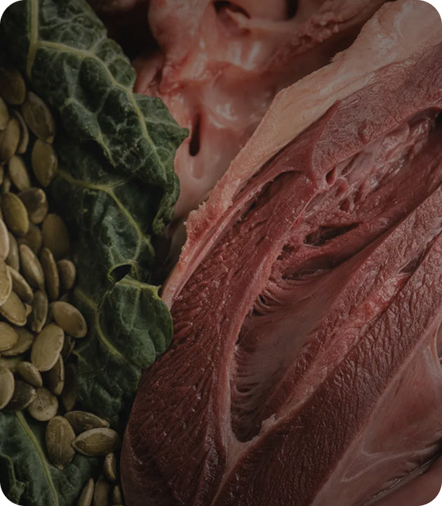 WHOLE FOOD NUTRITION