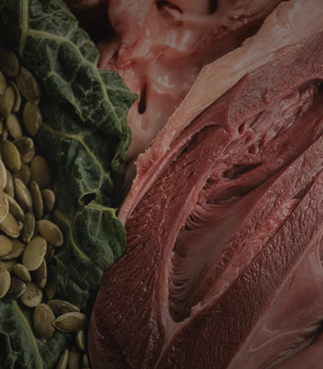 <p>Whole Food<br/>Nutrition</p>