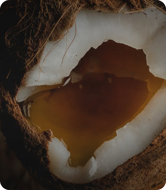 HEALTHY FATS BY DESIGN