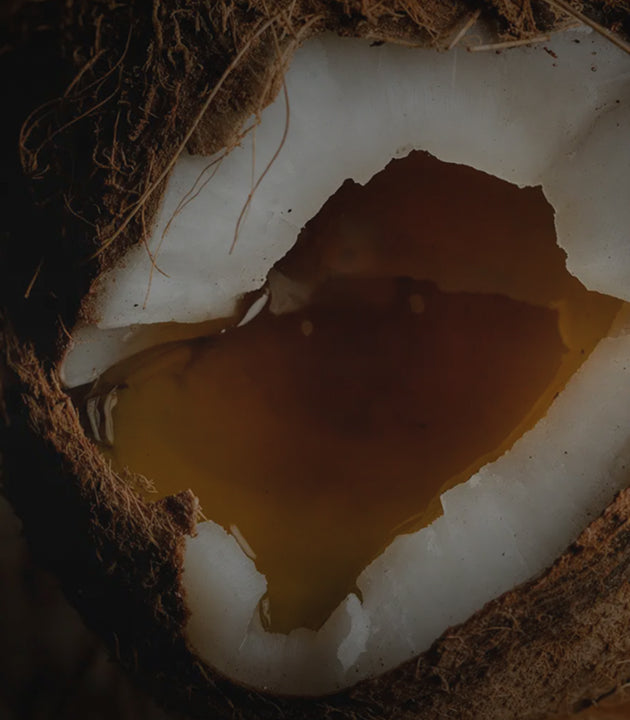 <p>Healthy Fats<br/>By Design</p>