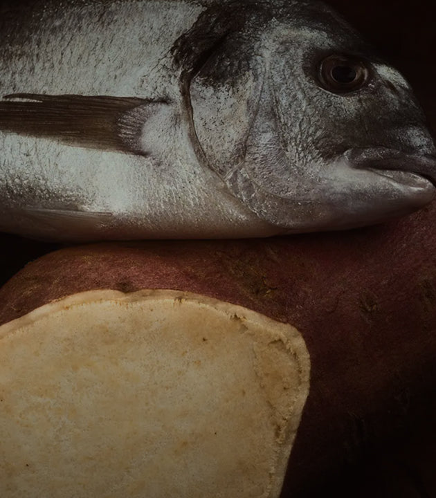 <p>Trusted Farms<br/>& Fishermen</p>