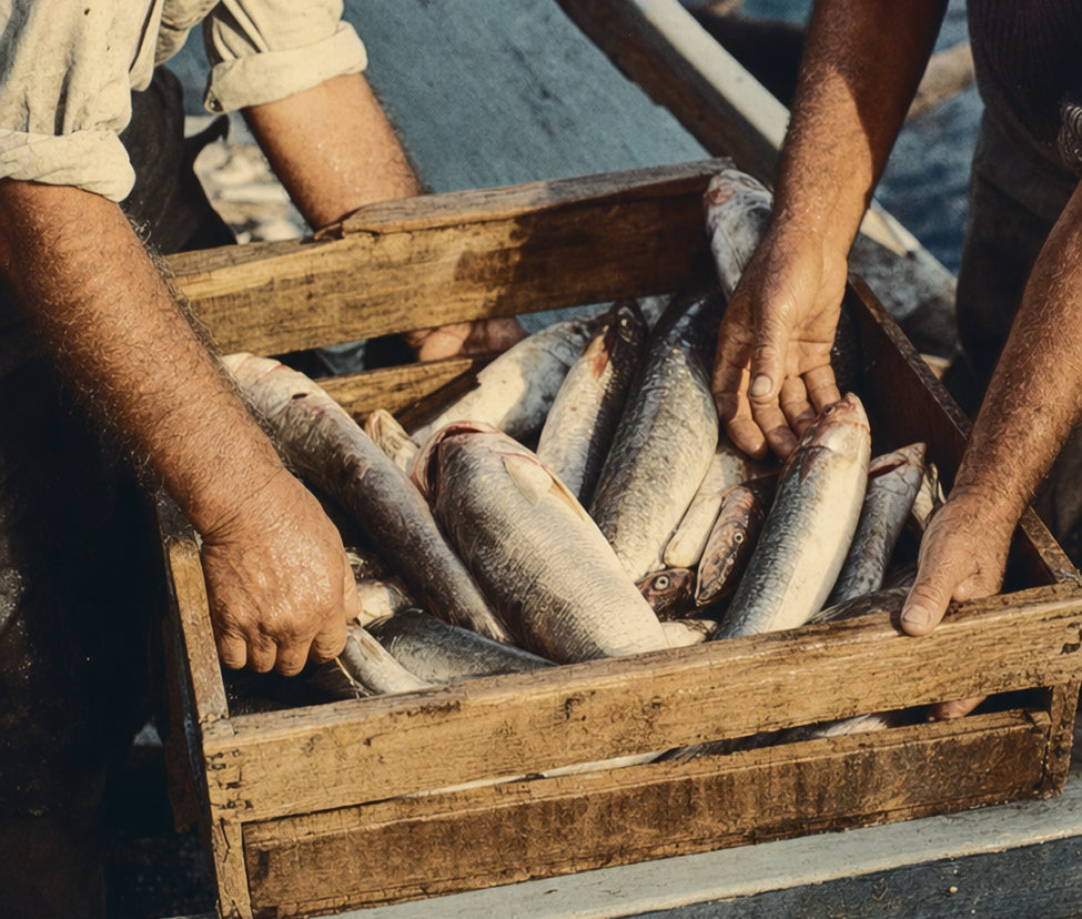 FISHERMEN