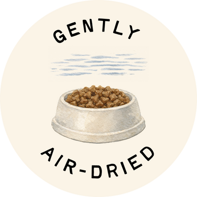 AIR DRIED