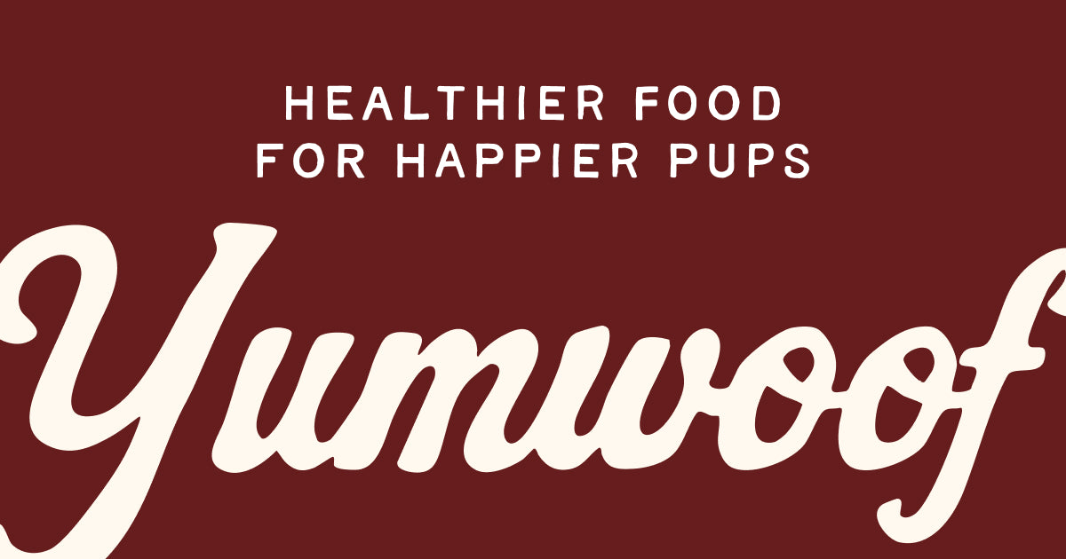 Yumwoof Natural Pet Food