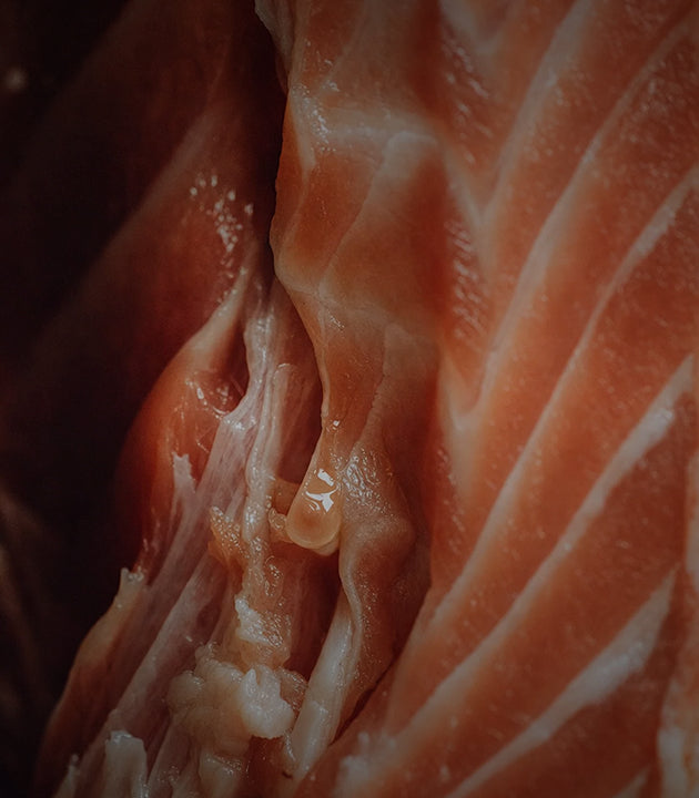 <p>Premium<br/>Proteins</p>