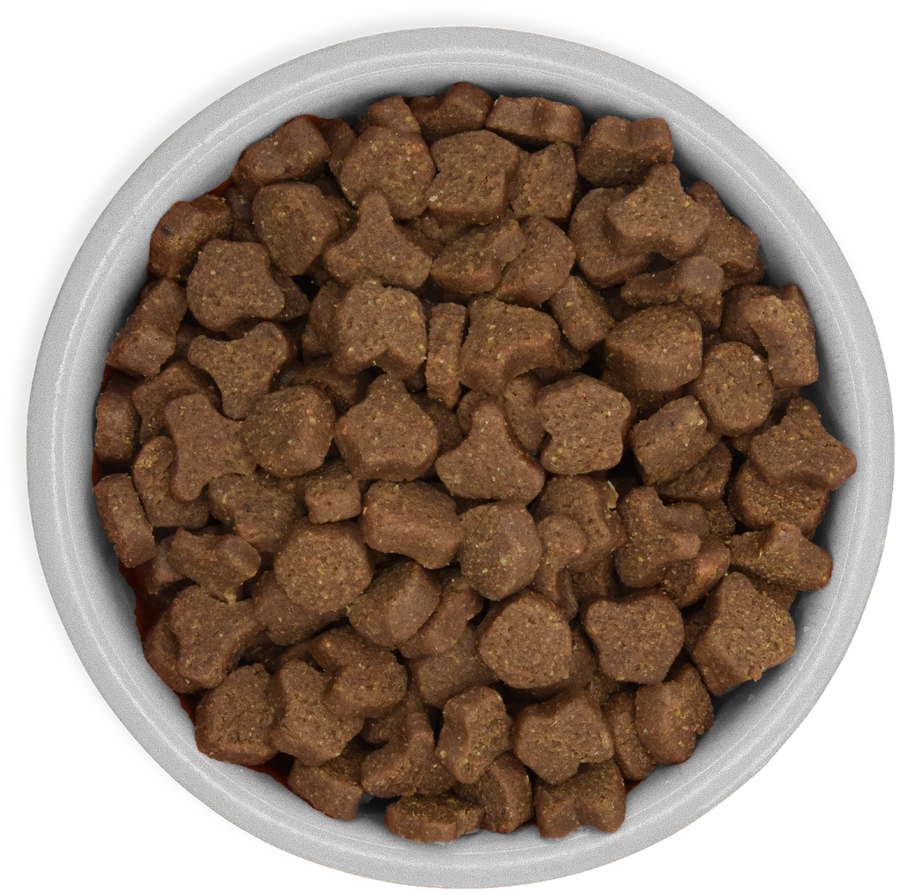 Yumwoof Ancestral Blend dog food