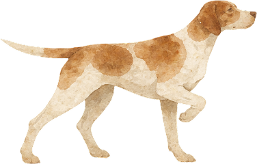 Large