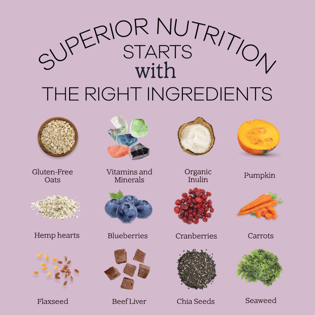 Grain-Free with Coconut