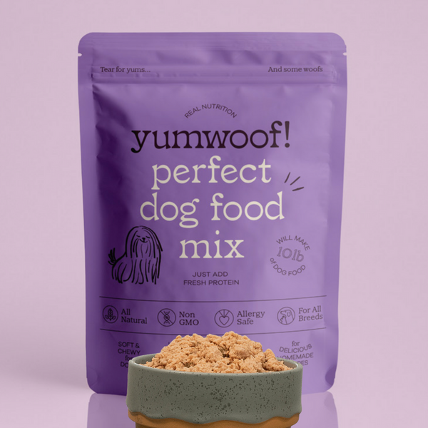 Perfect Dog Food Mix Make Nutritionally Complete Homemade