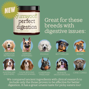 Detailed Dog Food Good For Digestion Moment Collection Detailed Dog Food Good For Digestion Moment Collection