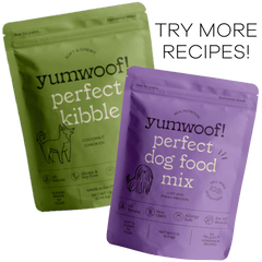Picky Eater Starter Pack - Add Perfect Kibble Coconut Chicken (14 oz) + Perfect Dog Food Mix