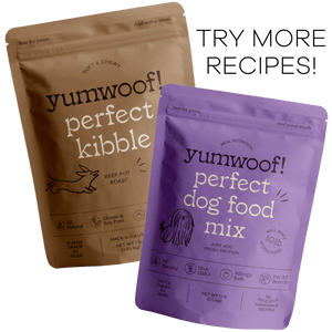 Picky Eater Starter Pack - Add Perfect Kibble Beef Pot Roast (14 oz) + Perfect Dog Food Mix