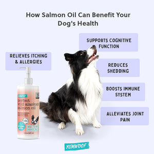 Perfect Salmon Oil – Yumwoof Natural Pet Food