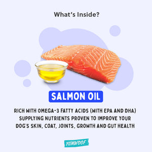 Perfect Salmon Oil – Yumwoof Natural Pet Food